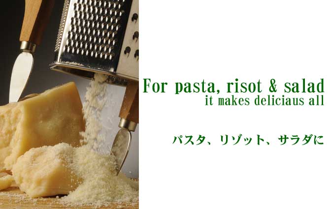 パルミジャーノチーズ|アレスピット