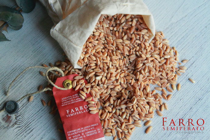 イタリア産　古代小麦ファッロ（スペルト小麦）