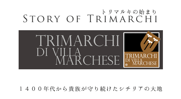 torimarchiの歴史